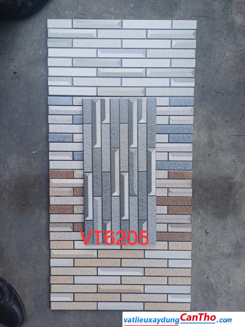 Việt Nhât VT 6205